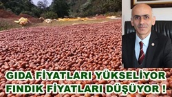 Fndk Fiyatlar Neden Dyor