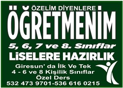 Eitimde zel alma Dnemi
